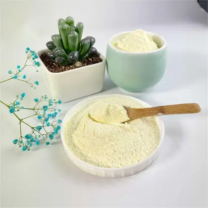 Lyophilized Royal Jelly Freeze Dried Royal Jelly Powder