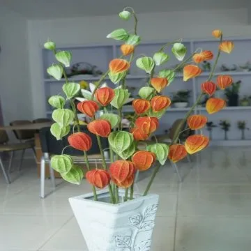 Cope Gooseberry PU Flower, Soft, Elastic and Anti-pollution