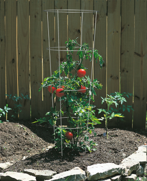 Tomato Cage Plant Supports