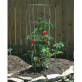 Supports d&#39;usine de cage de tomate