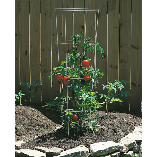 Soportes de planta de jaula de tomate