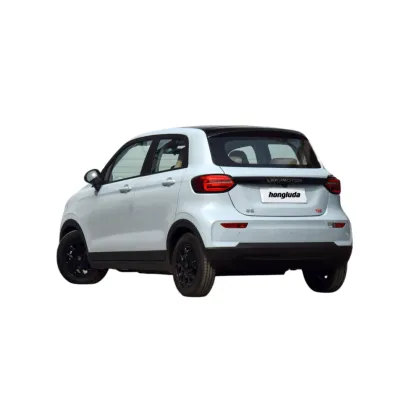 Leapmotor New Energy Vehicles: C01, C11, and T03 Electric Cars
