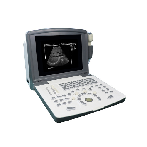 Portable Black and White Ultrasound Scanner