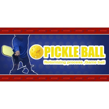 Beste preiswerte Pickleball -Paddel