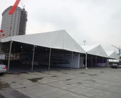 Brand new carp tent with low price