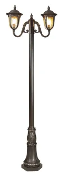 Electricity Two Heads Traditional Outdoor Pole Lighting / 100 W Led Street Lights