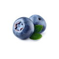 Europe Bilberry Extract 25% Anthocyanins