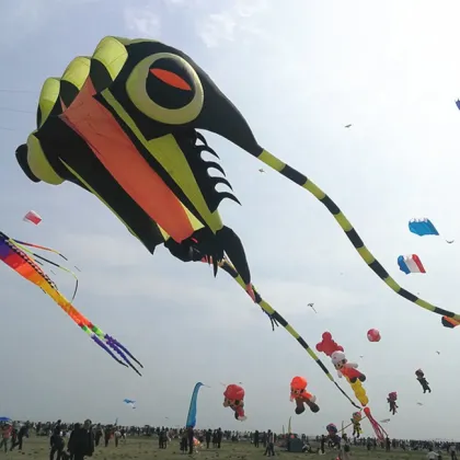New Design Fish Kite & Inflatable Show Octopus Kite - 3D Animal Shape Soft Kites from Factory Supply