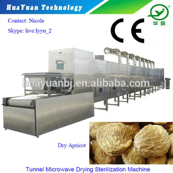 Continuous Drying Machine / Fruit Drying Machine