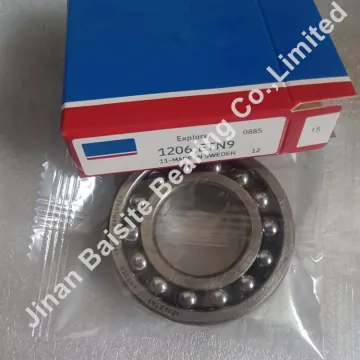 1209 Self-Aligning Ball Bearing Double Row 1209 ETN9