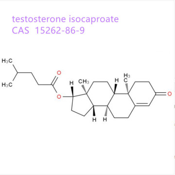 Steroidy testosteron isocaproate 15262-86-9