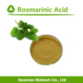 Extracto de bálsamo de limón en polvo de ácido rosmarínico 2% -10% HPLC