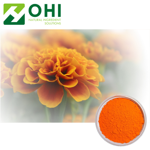 Ekstrak Marigold Calendula Officinalis 5% Lutein Xanthophyll