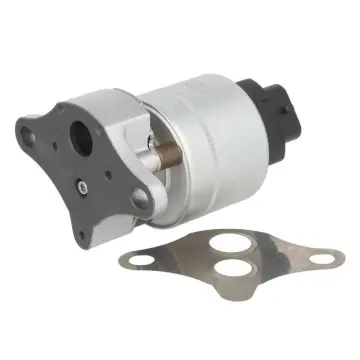 Wholesale Directly Top Quality EGR Valve for Chevrolet SPARK (M300)