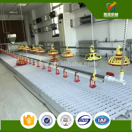 poultry shed construction farm 1000 chiken shed