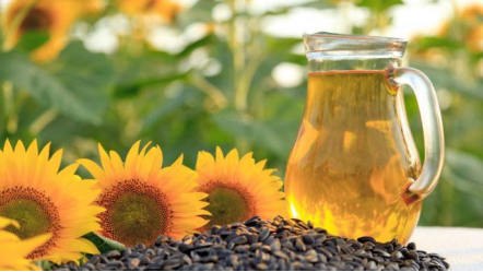 Phytosterol oil