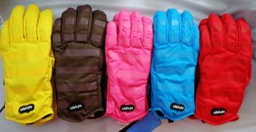 High Quality Warm Ski Gloves, Sports Gloves (JSG-15018)