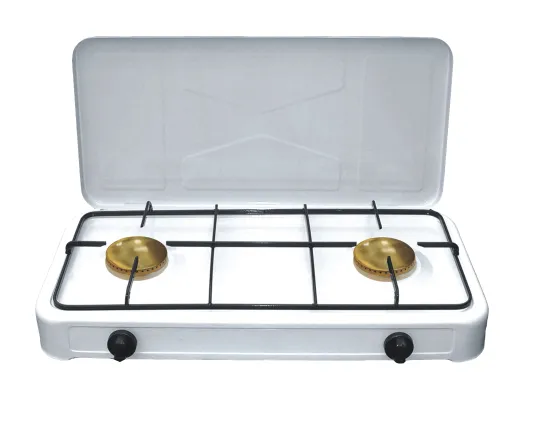Camping Gas Stove with Two Burners and Cover