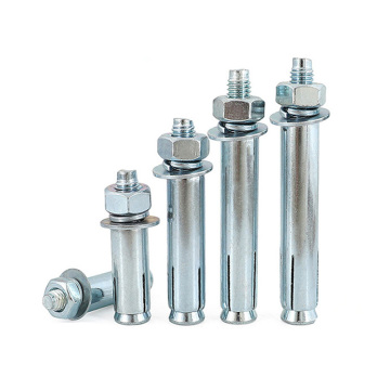 Manufacturer's Collection: Stainless Steel Wedge Expansion Anchor Bolts and Nuts in Various Sizes