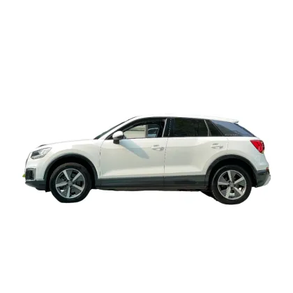 Electric car 5-seater Audi Q2L