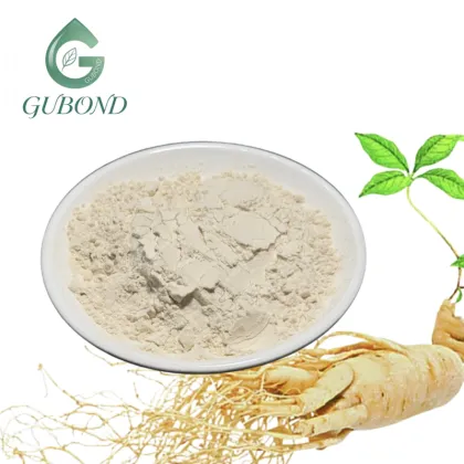 Ginseng Saponins Powder for Nutritional Supplements