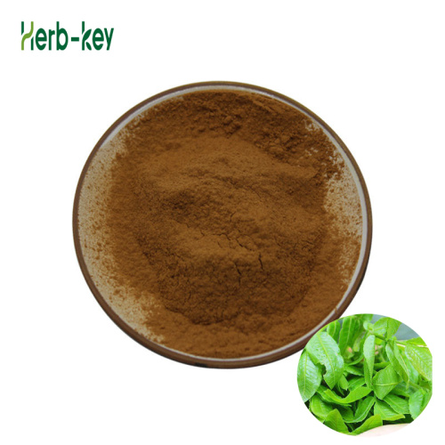 Natural Pure organic Bulk Cyclocarya paliurus extract