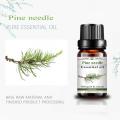 High Quality Essential Oil Pine needle oil for sale