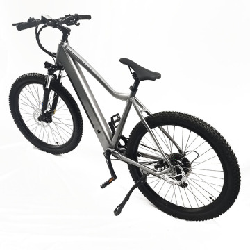 Foldable Electric Bicycle for Adults