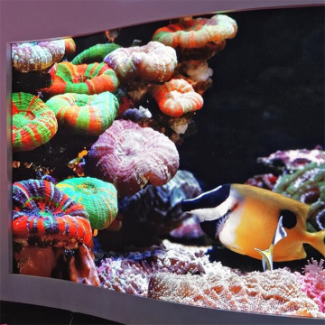 How Much Is Indoor Advertising LED Display Screen