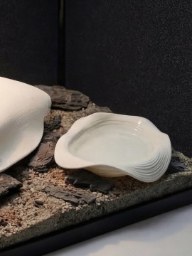 Bol d’eau pour reptile en forme de raie imprimée en 3D