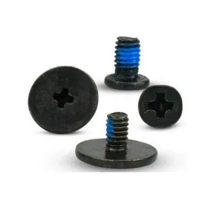 Stainless Steel Phillips Head Nylok Screw for Hidden Camera