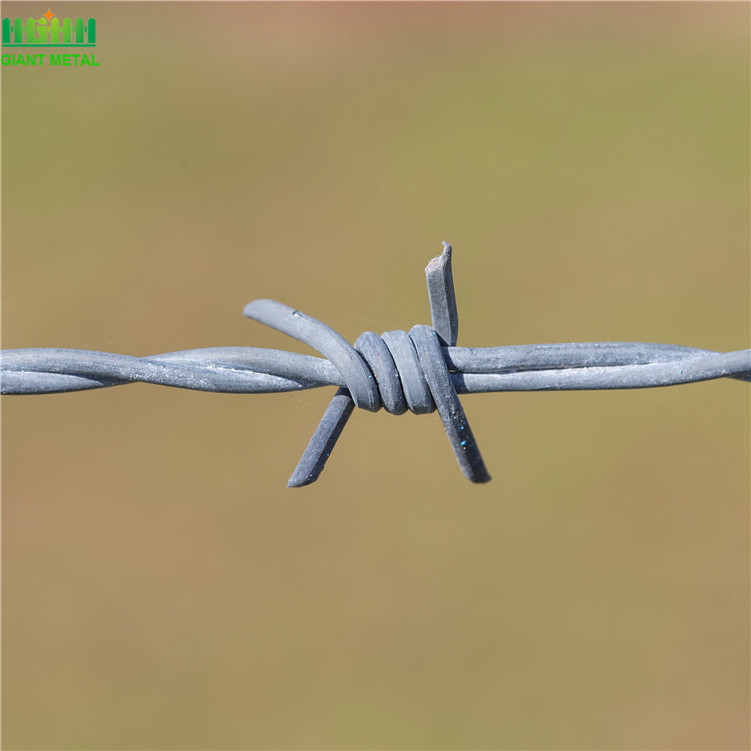 Barbed Wire