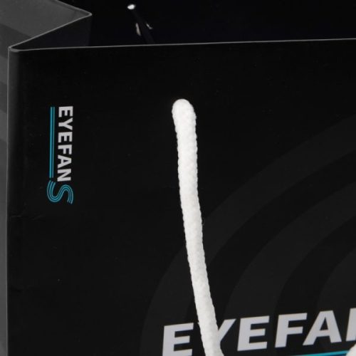 Wholesale Custom Printed Kraft Paper Bags