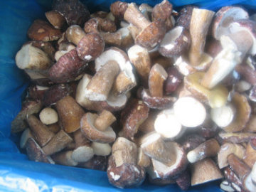 FROZEN FOODS