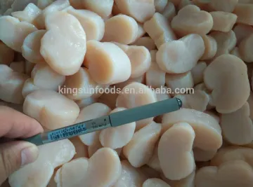 Frozen scallop meat Comb Pen Shell