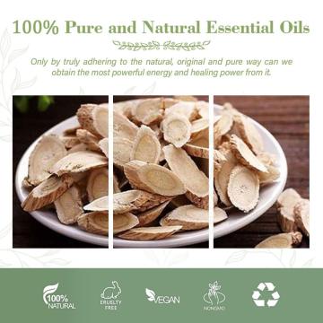 Top Sales Astragalus Root Oil in Herbal Extract Extract Astragalus