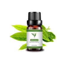 Aceite esencial de aromaterapia sin agua de té blanco natural