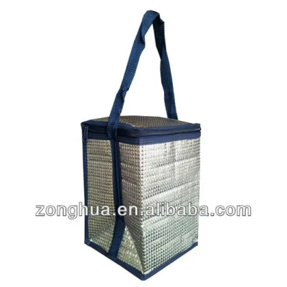 ningbo aluminum foil cooler bag