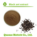 Black Ameise Extract Powder Polyrhachis Vicina Roger Extract