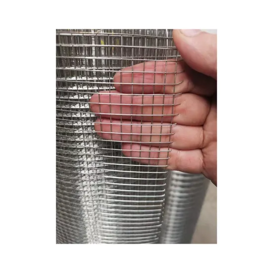 Welded Wire Mesh Stainless Steel Protecting Mesh for Construction