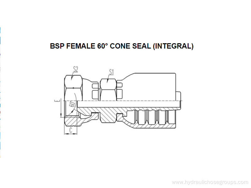 Integral BSP Female 60° Cone 22611-F