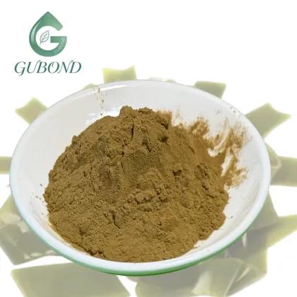 Kelp Extract for Dietary Supplements