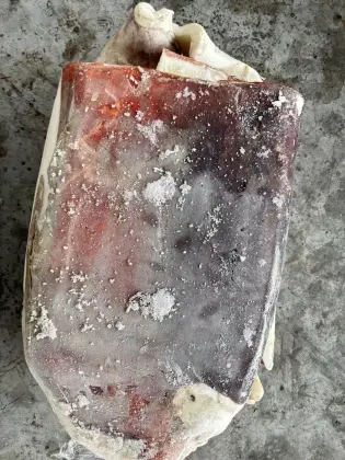 Frozen Giant Squid Slices