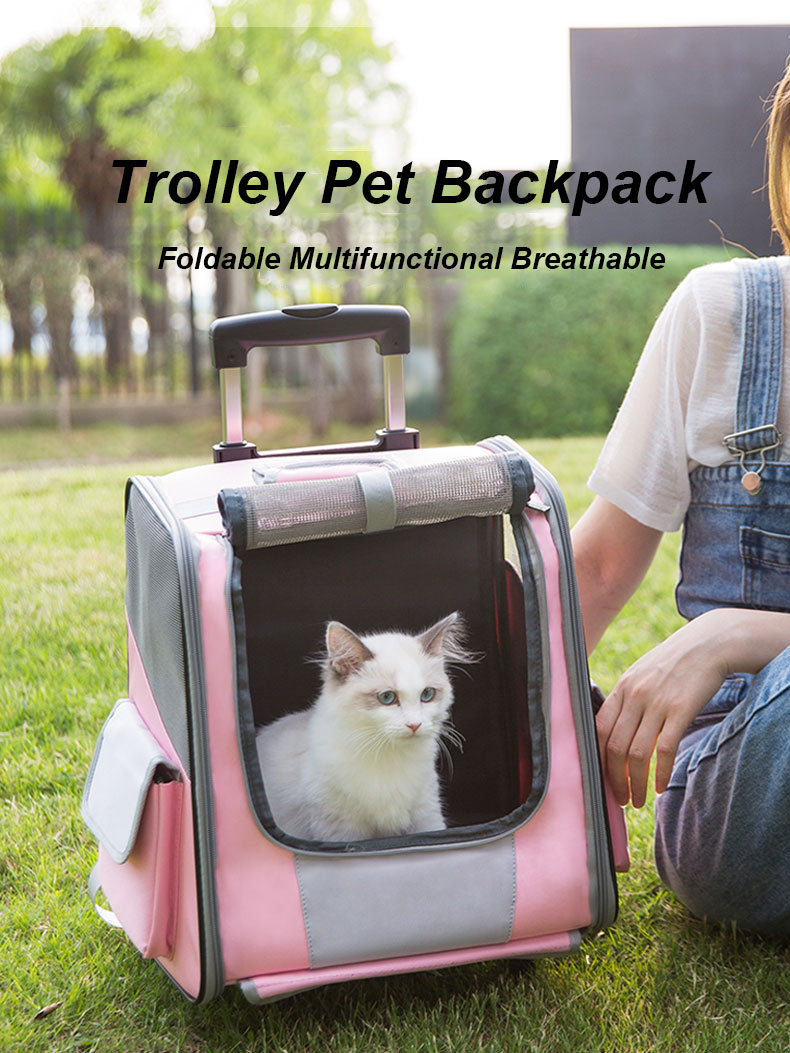 Pet Travel Carrier