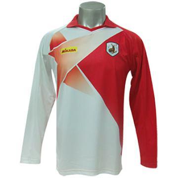 Men\'s sublimation sports shirt