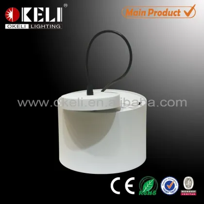 Decorative Pendant big led Downlight