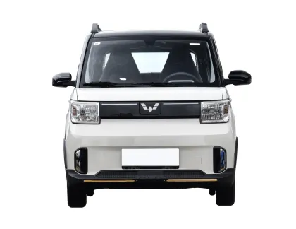 In Stock 2024 Wuling Mini Electric Cars