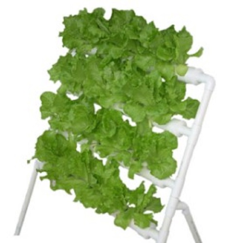 Hot Sale Indoor Small Size Hydroponic System