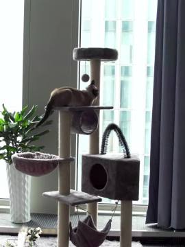 High Quality Wooden Cat Scratch Climbing Tower