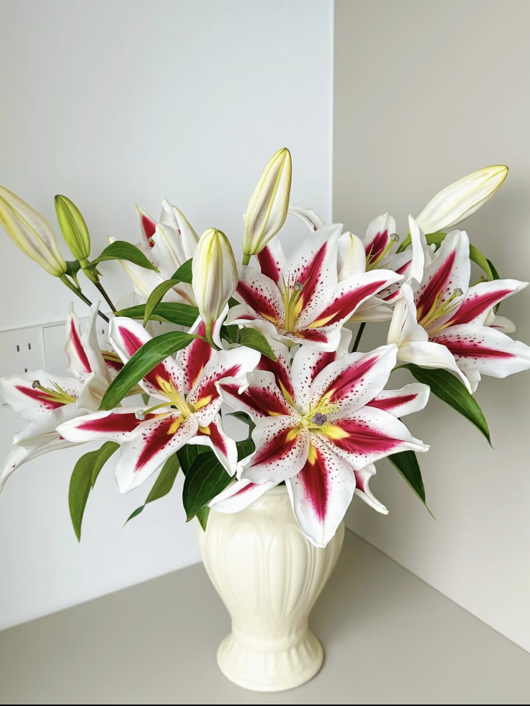 Smiley Single-petal Lily3